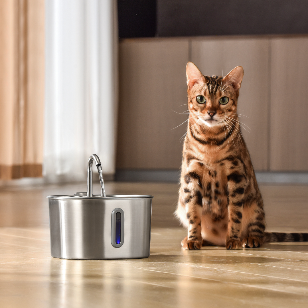 The Sprucee™ - Wireless Fountain 2.0