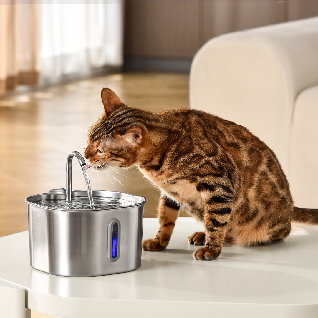 The Sprucee™ - Wireless Fountain 2.0