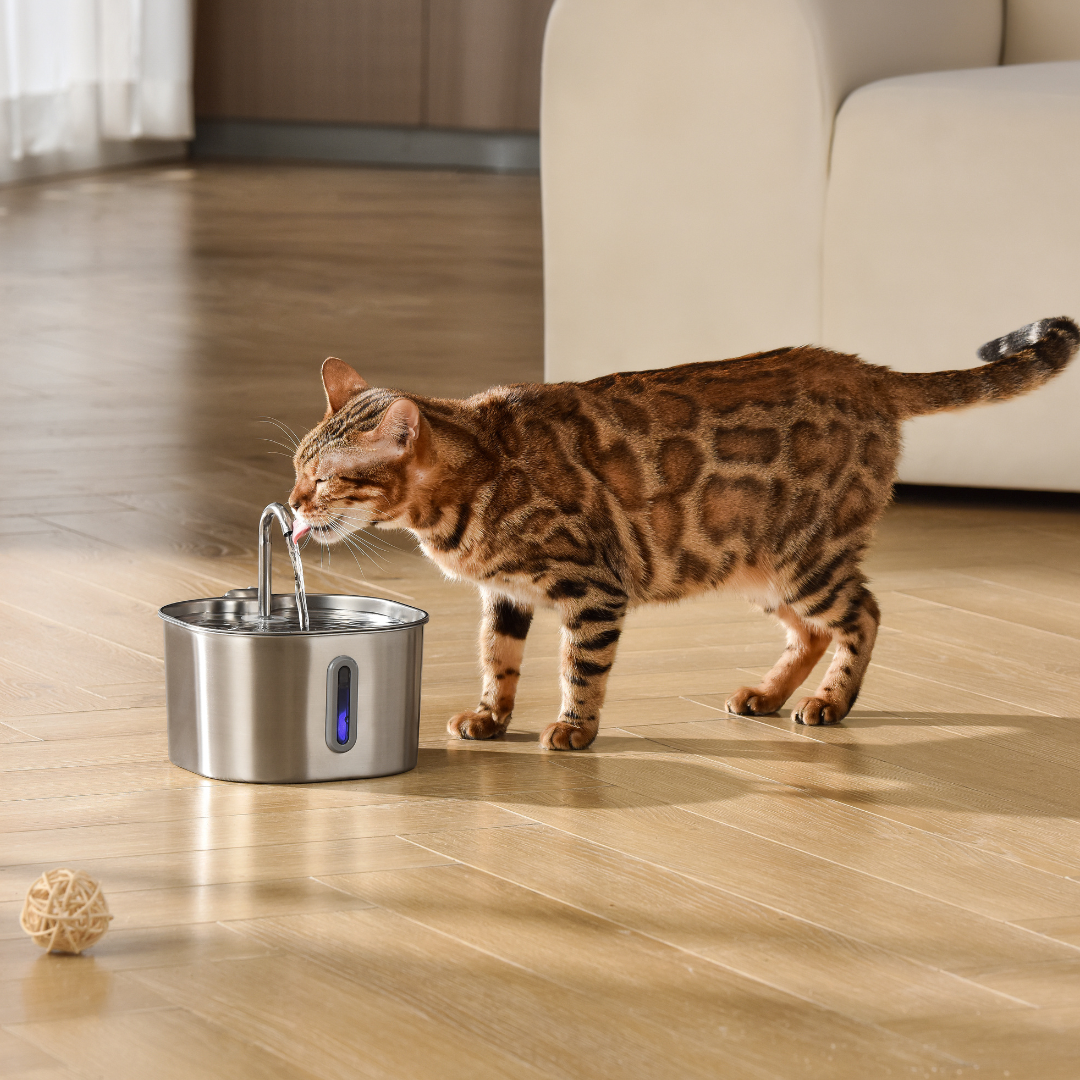 The Sprucee™ - Wireless Fountain 2.0