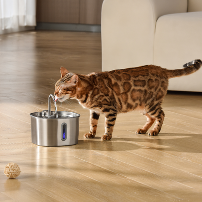 The Sprucee™ - Wireless Fountain 2.0