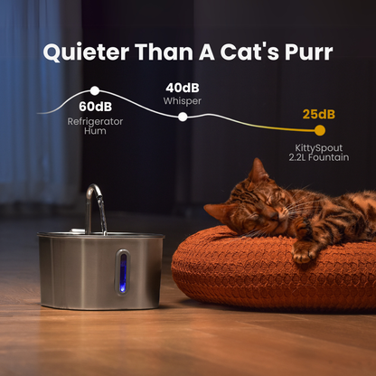 The Sprucee™ - Wireless Fountain 2.0